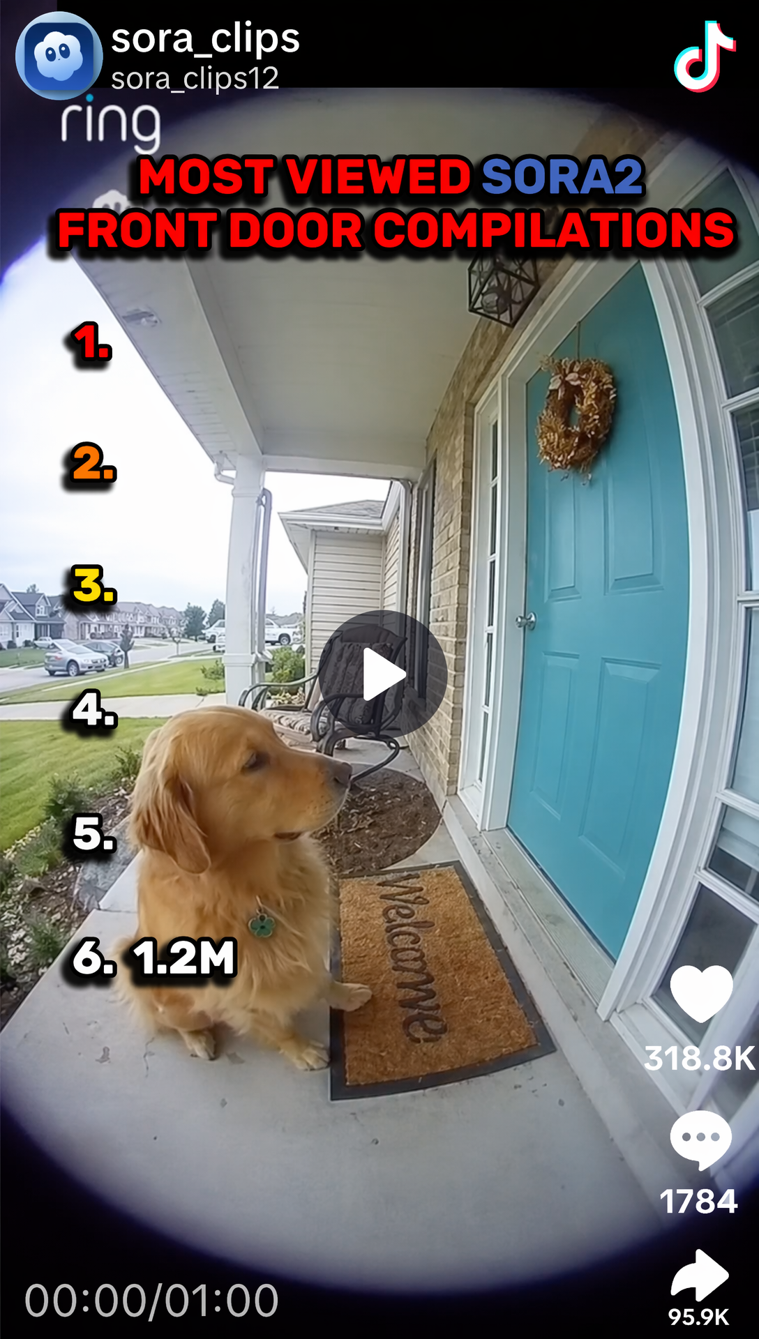Sora clips account post added as a direct TikTok reference